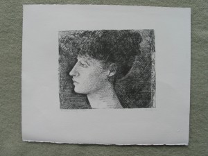 Portrait of womens profile stage 6