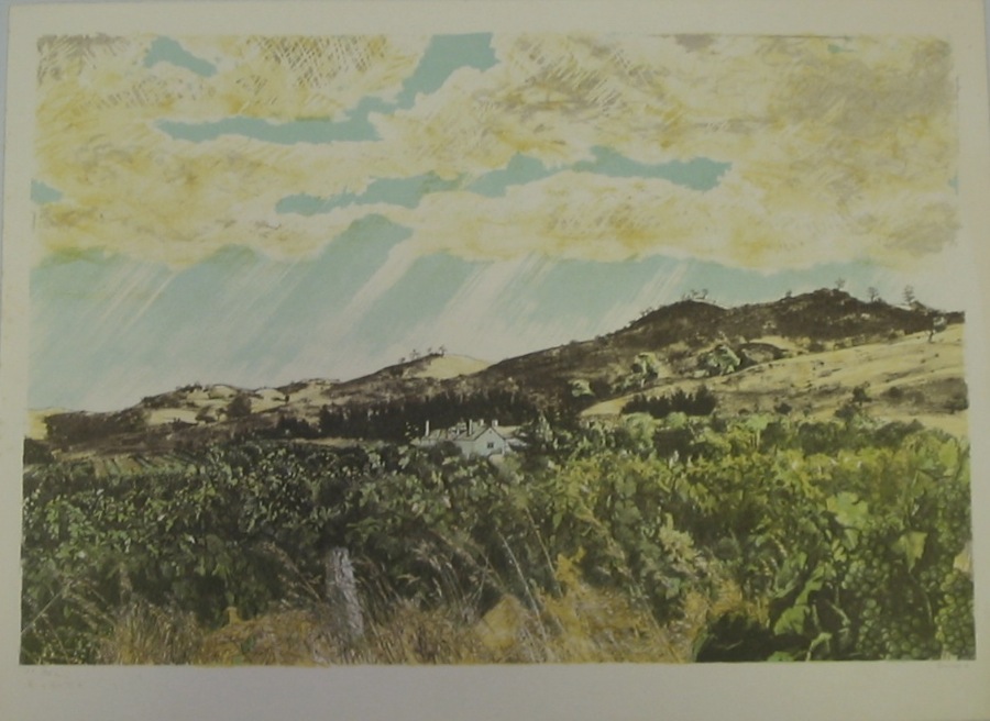 Barossa valley Landscape