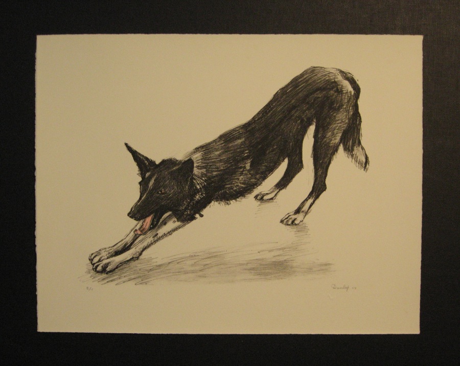 Dog.1