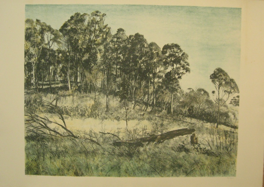 Gum tree landscape (colour)