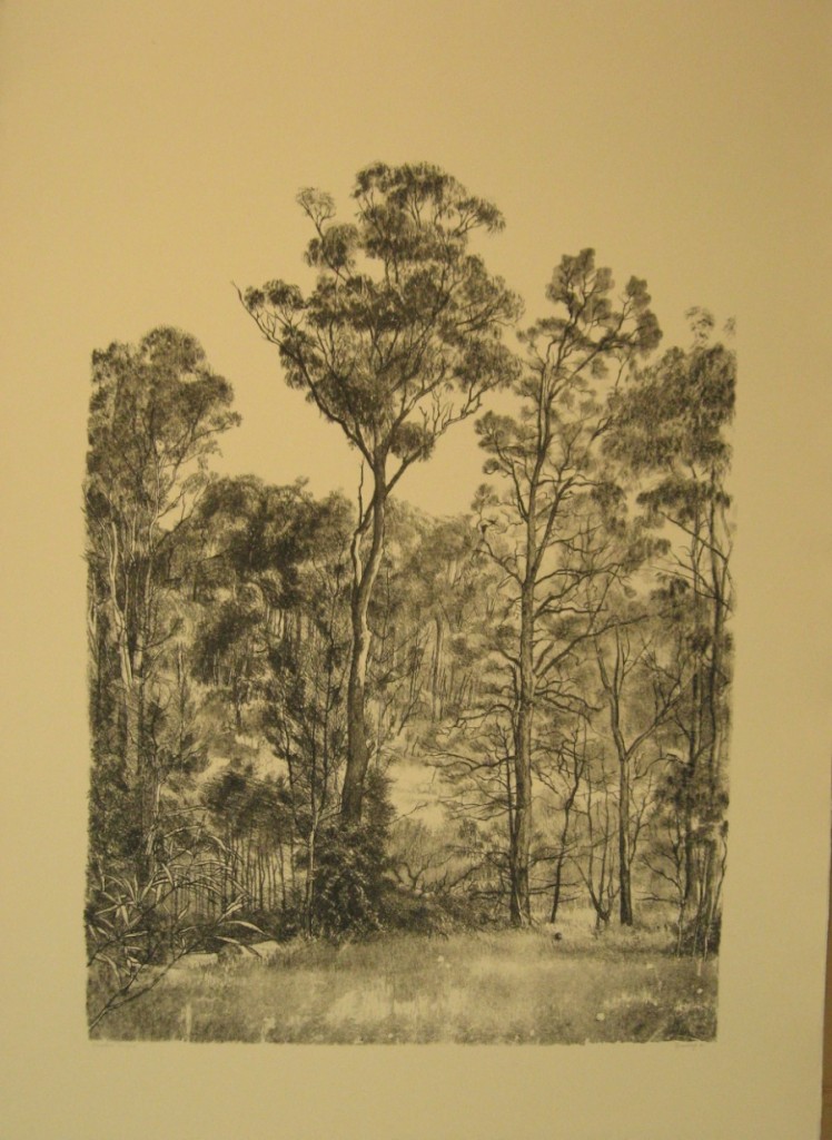 Gum trees (black)