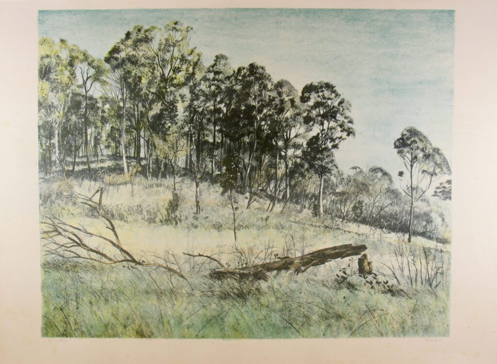Landscape (Bawley point) - 1981 60x83cm – Brian Dunlop