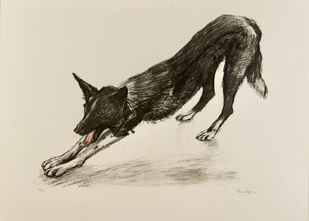 Dog - 1988 – Brian Dunlop
