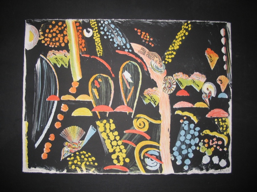 Nocturnal Garden