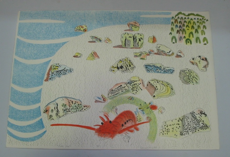 Series of 4, Rock Pool