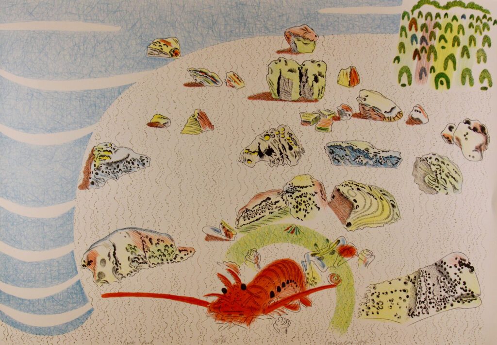 Rock Pool - 1997 Series of 4 91x64cm – Colin Lanceley