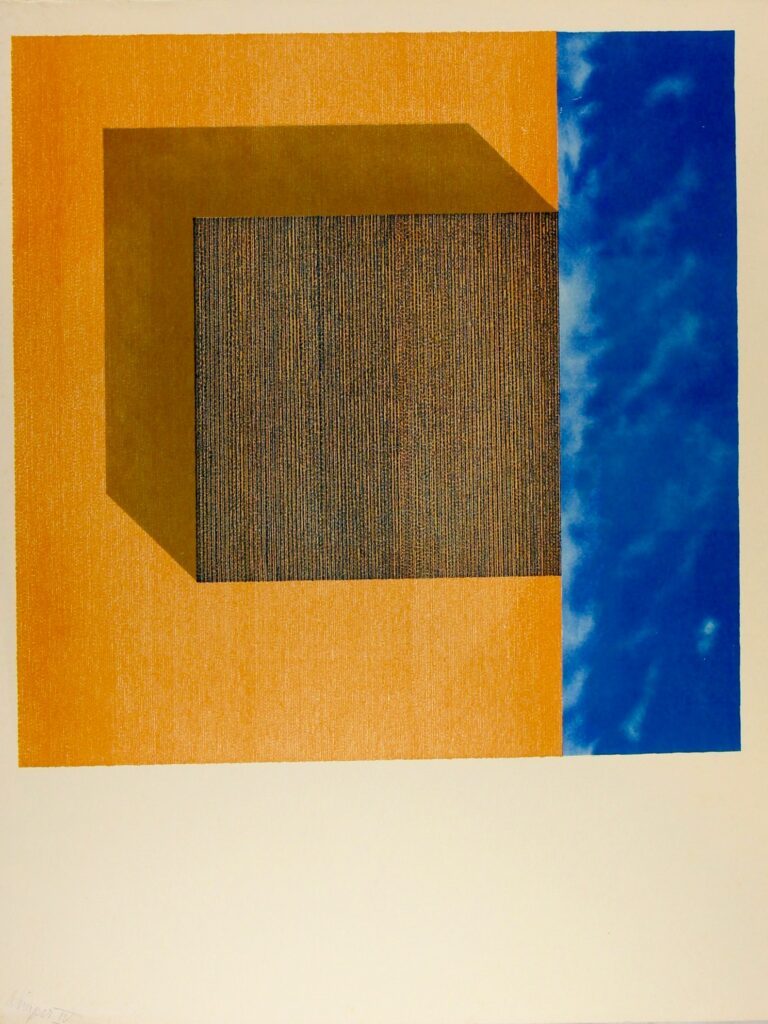 Box images - No Edition Brownish Version – Erik Roos