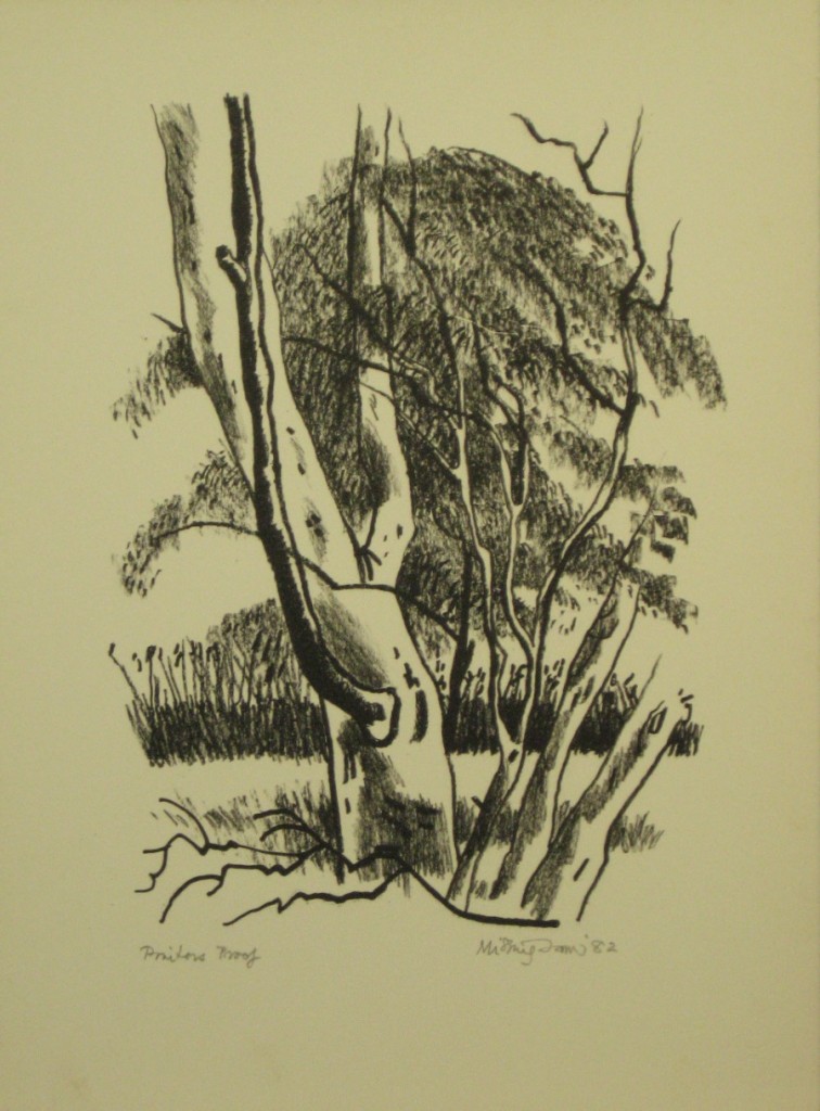 Bush Images 1