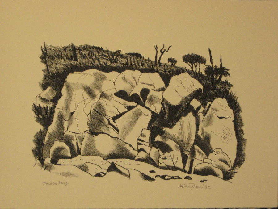 Bush Images 7