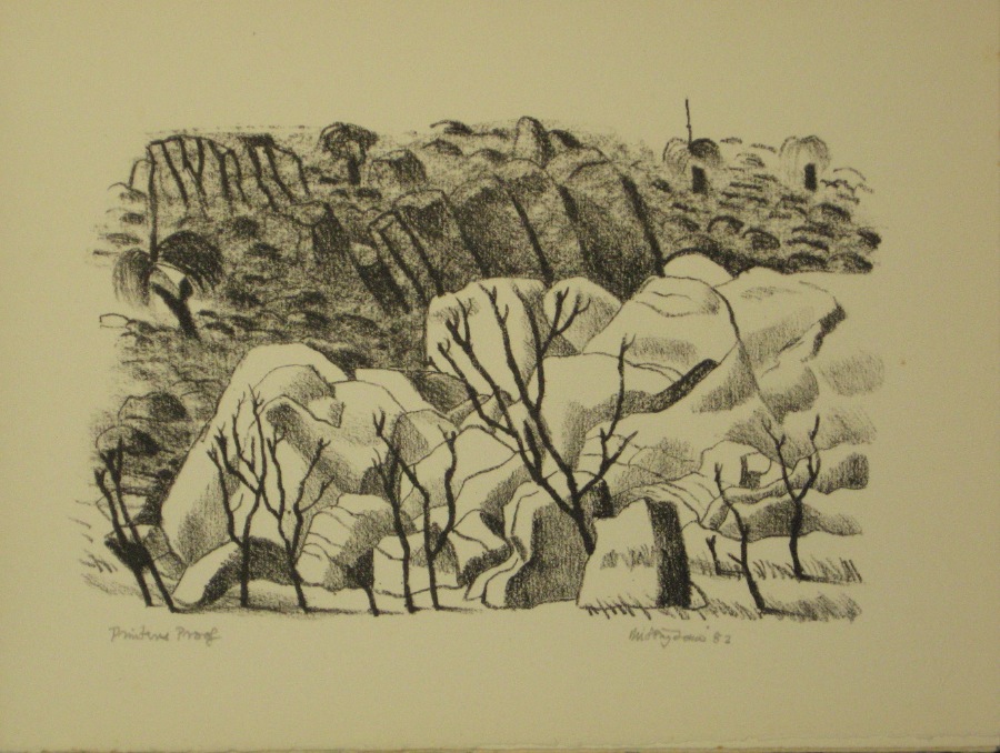 Bush Images 11
