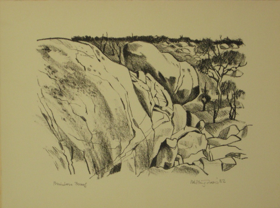 Bush Images 3