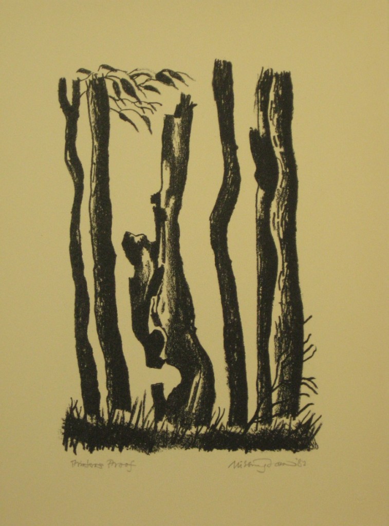 Bush Images 6