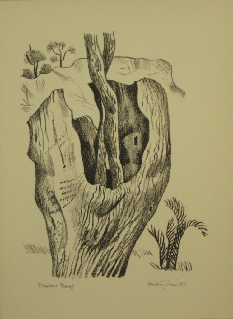 Bush Images 5