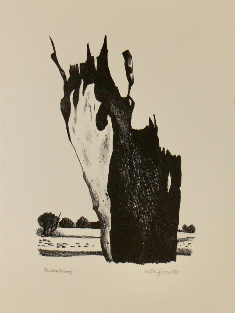 Bush Images Image 1 - 39x29cm – Hal Missingham