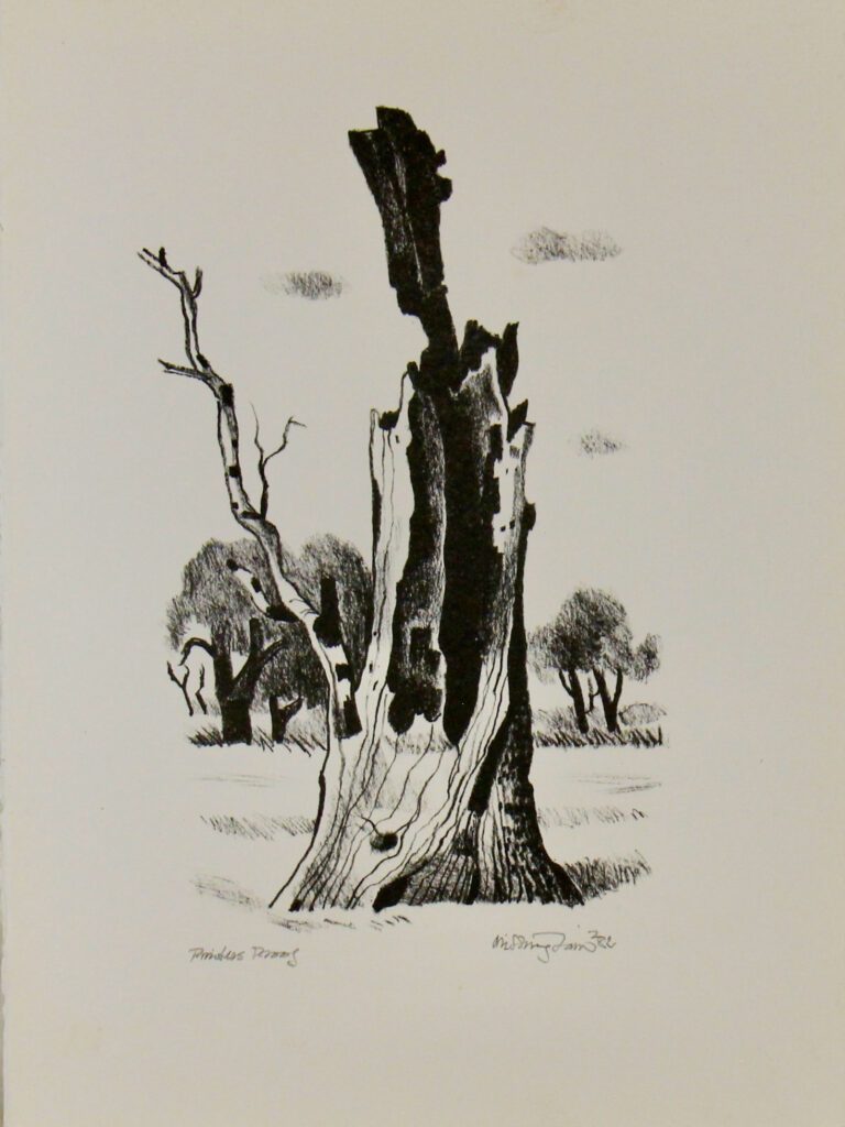 Bush Images Image 10 - 39x29cm – Hal Missingham