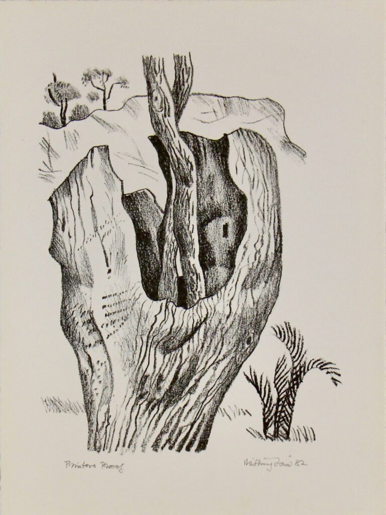 Bush Images Image 11 - 39x29cm – Hal Missingham