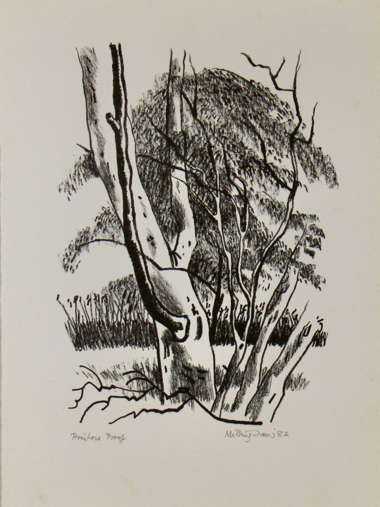 Bush Images Image 2 - 39x29cm – Hal Missingham
