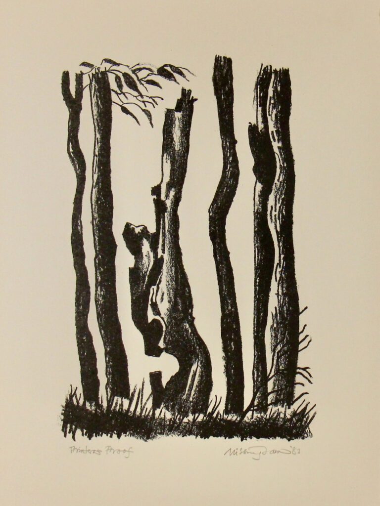 Bush Images Image 4 - 39x29cm – Hal Missingham