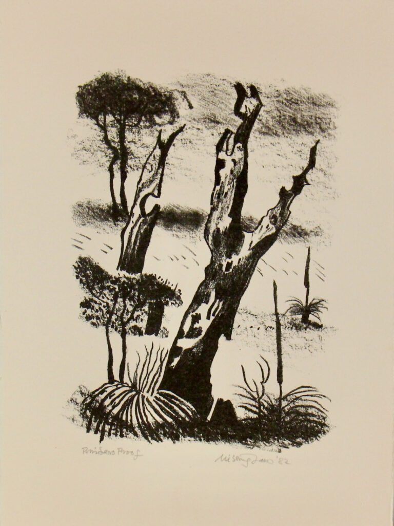 Bush Images Image 6 - 39x29cm – Hal Missingham