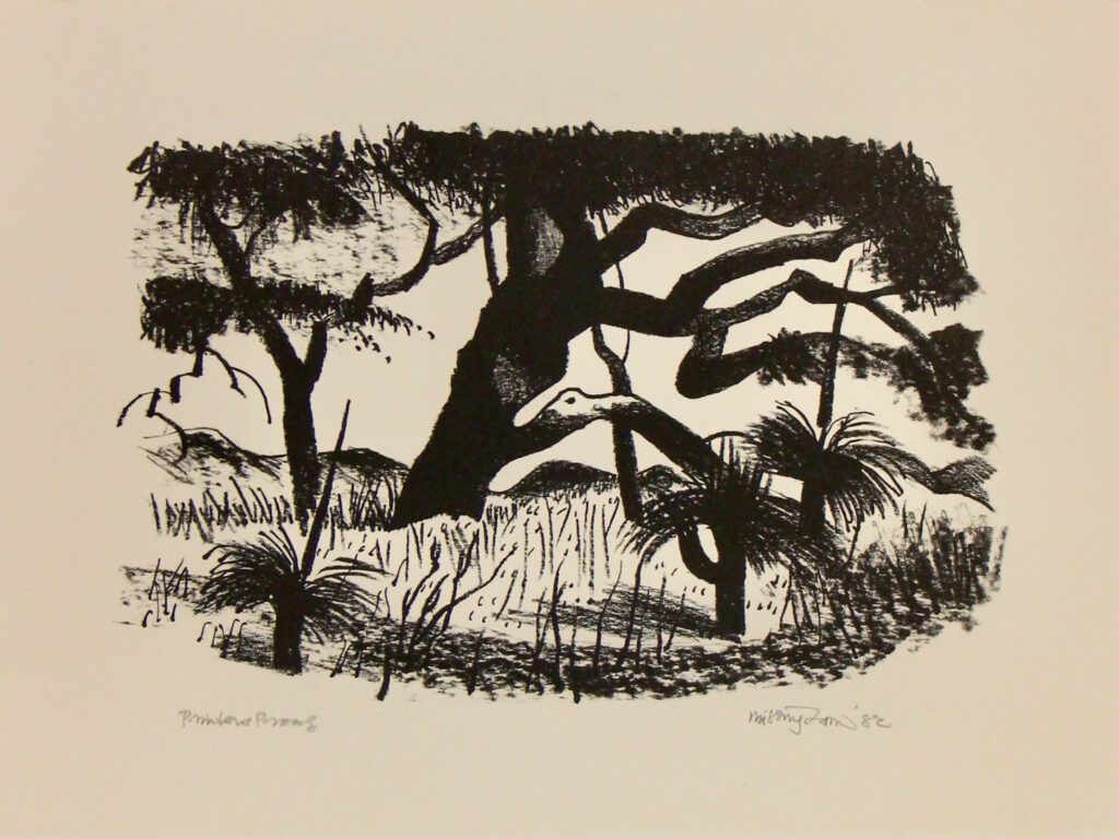 Bush Images Image 7 - 39x29cm – Hal Missingham