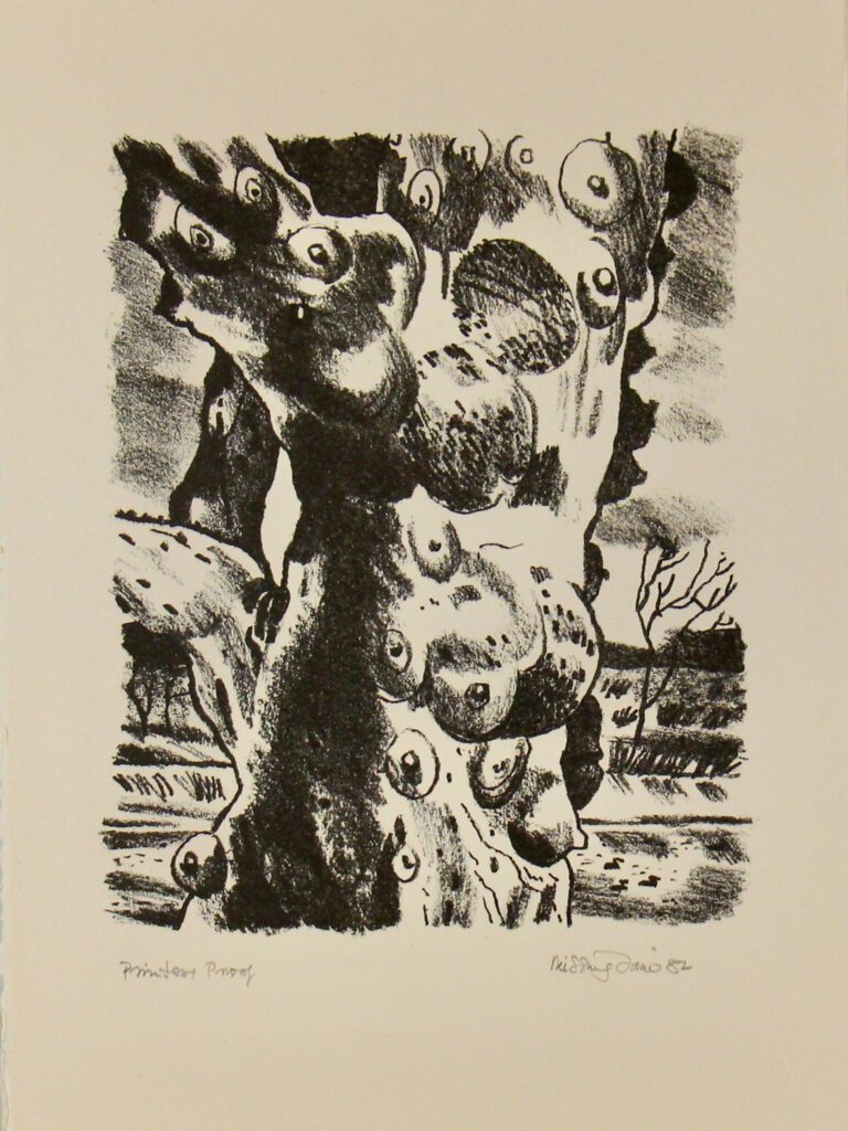 Bush Images Image 8 - 39x29cm – Hal Missingham