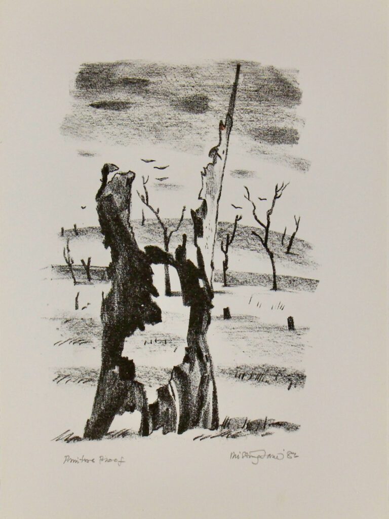Bush Images Image 9 - 39x29cm – Hal Missingham