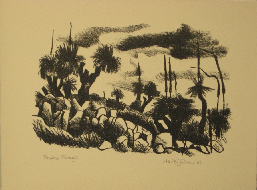 Bush Images 10