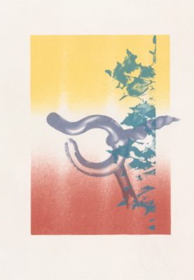 Horse Blinder Flash Card – James Rosenquist