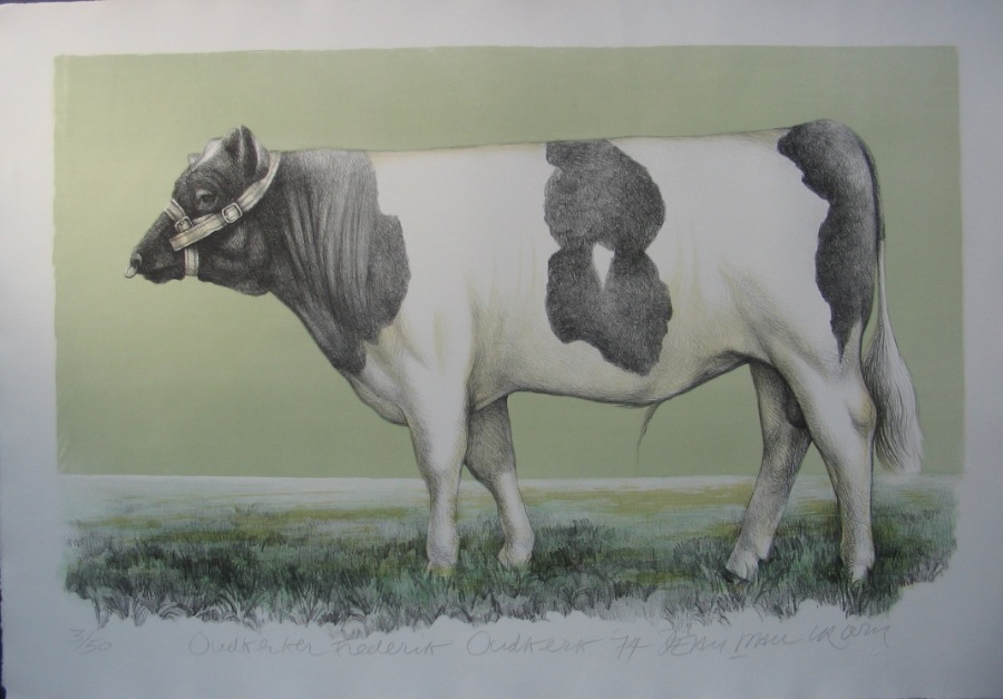 Oudkerker Frederik. (Cow). 71 x 104 cm