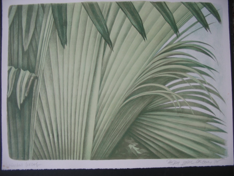 Tropicana Series of 4