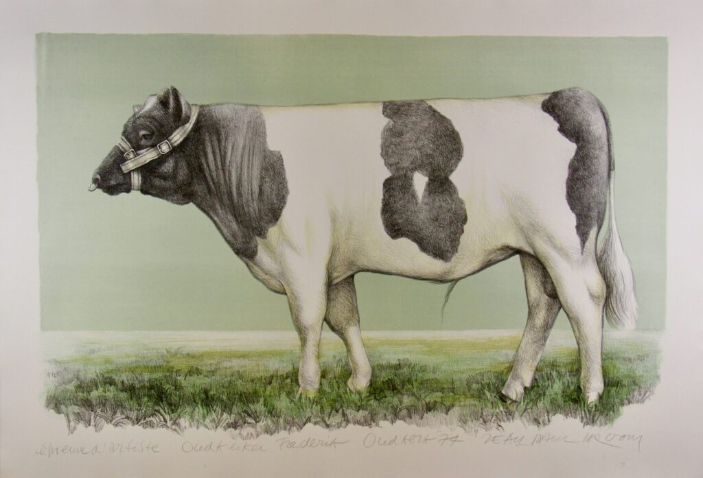 Oudkerker Frederik (cow) – Jean Paul Vroom