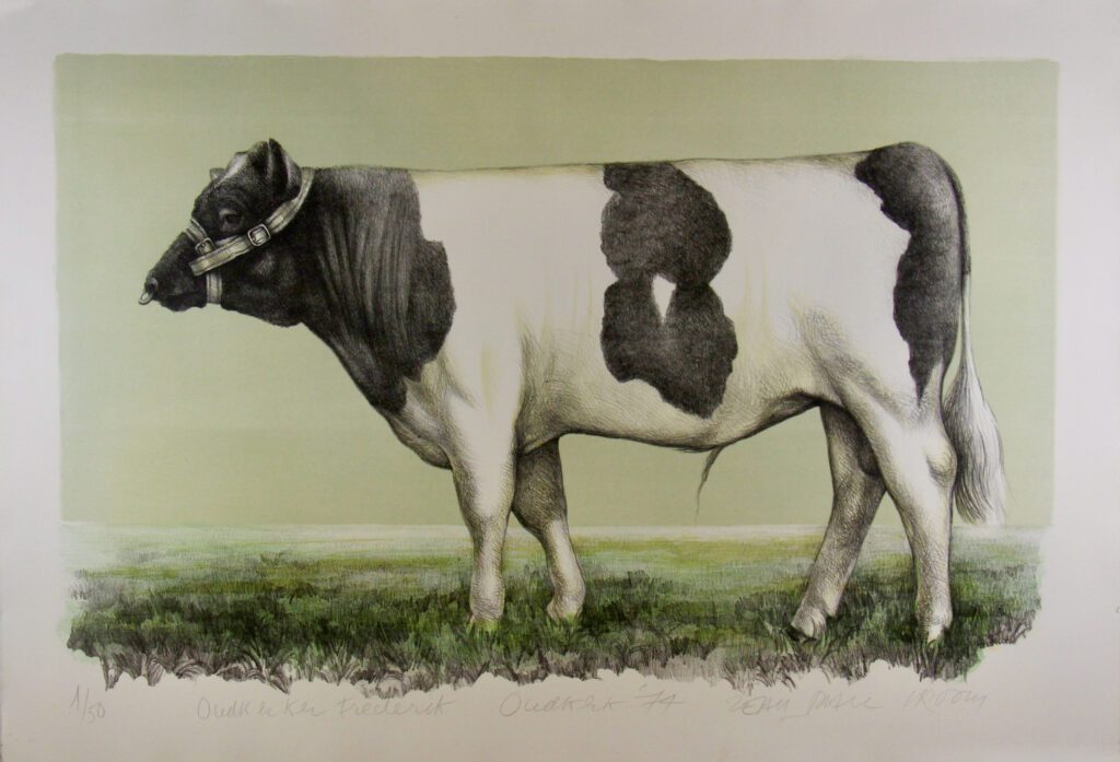 Oudkerker Frederik (cow) – Jean Paul Vroom