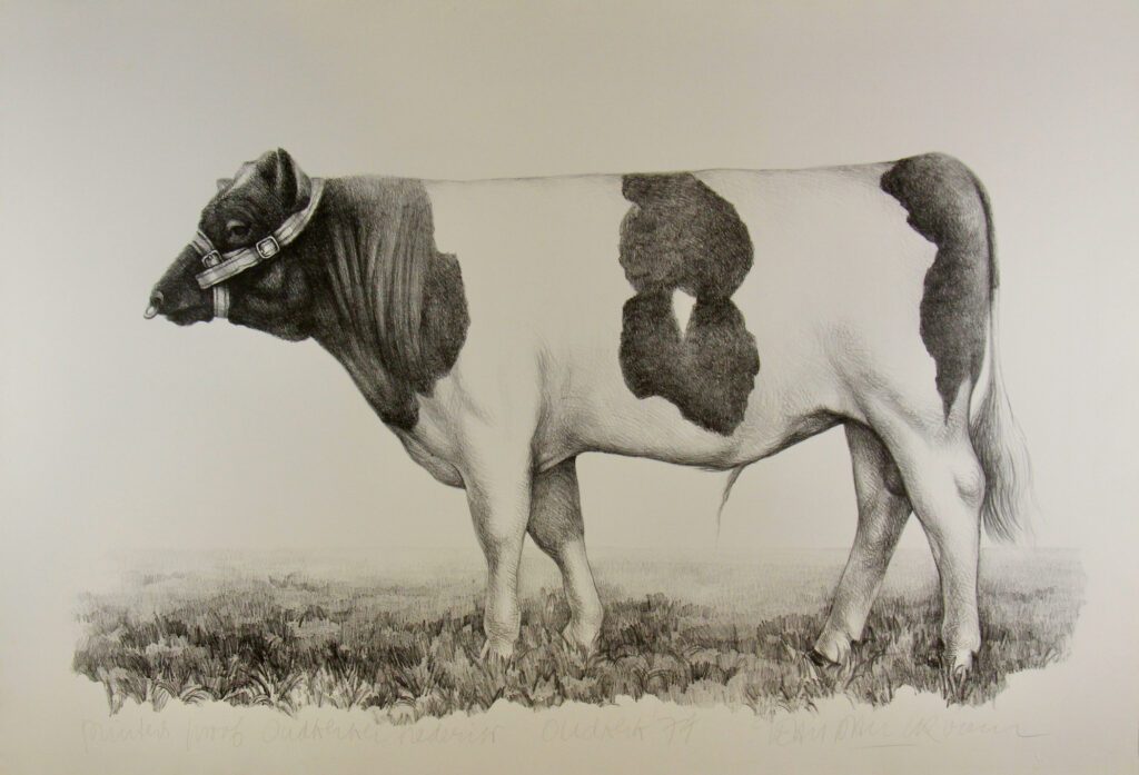 Oudkerker Frederik Black and White (cow) – Jean Paul Vroom