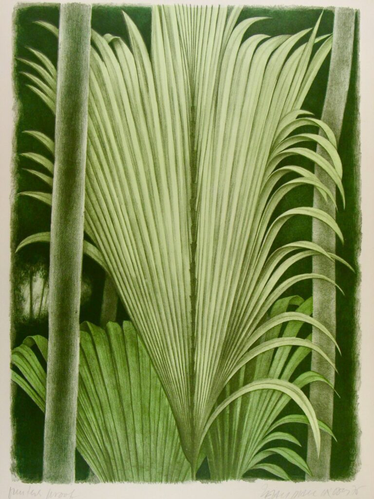 Tropicana Set – Jean Paul Vroom