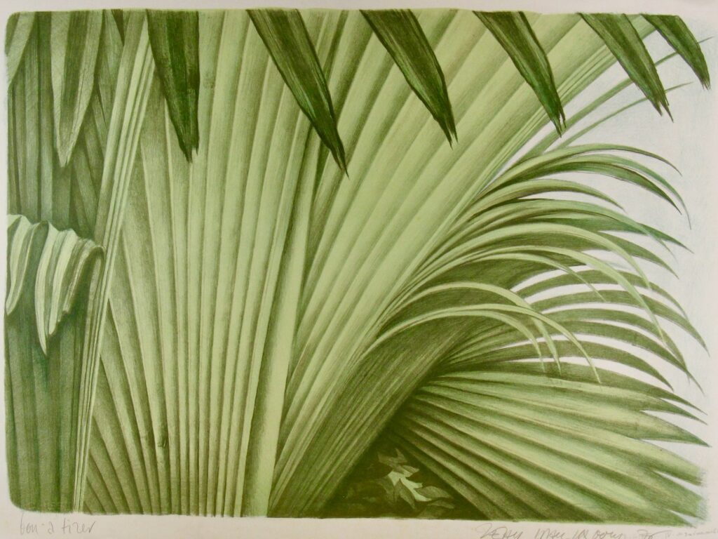 Tropicana Set – Jean Paul Vroom