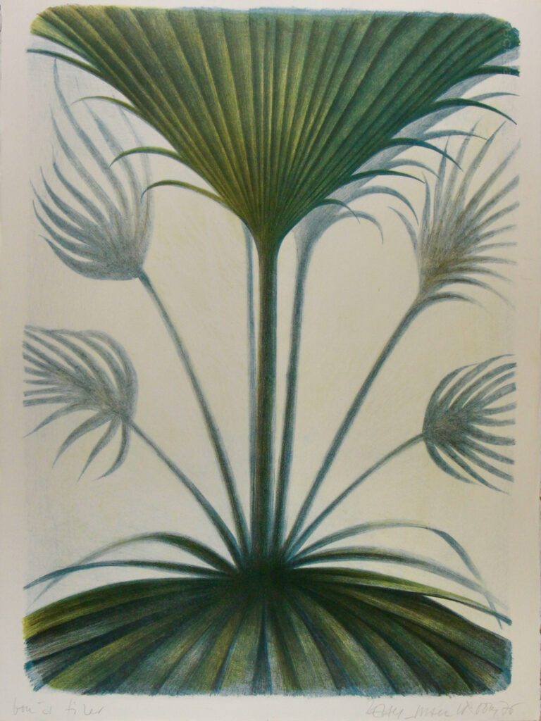 Tropicana Set – Jean Paul Vroom