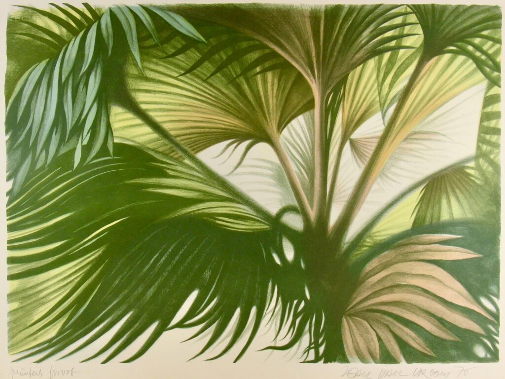 Tropicana Set – Jean Paul Vroom
