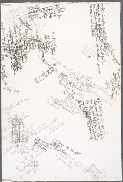 The Mushroom book. Opposite text page