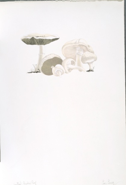 The Mushroom book. Page 8