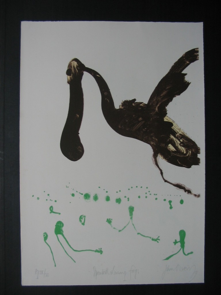 Spoonbill and swamp frogs 1