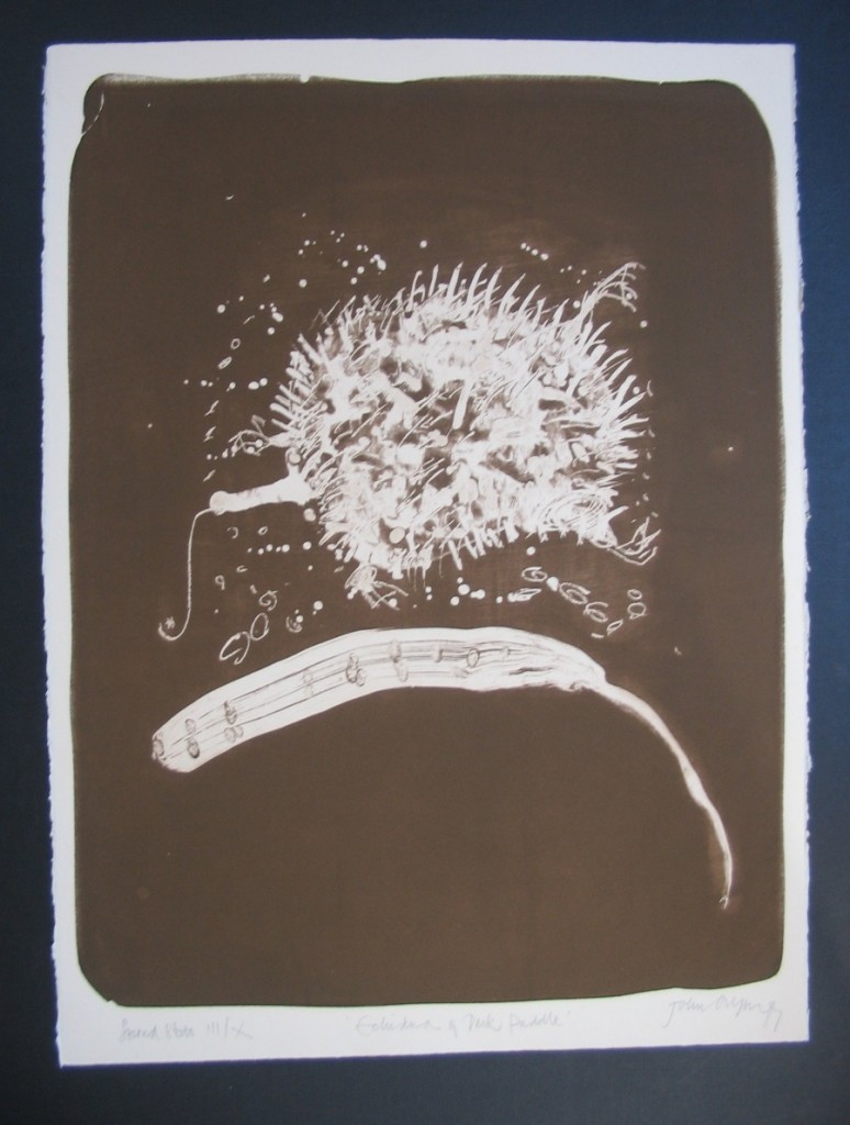 Echidna Reverse