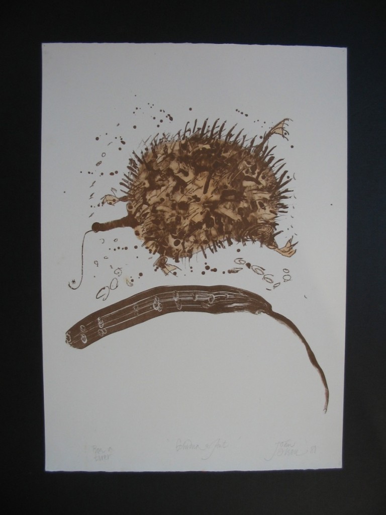 Echidna and dark paddle
