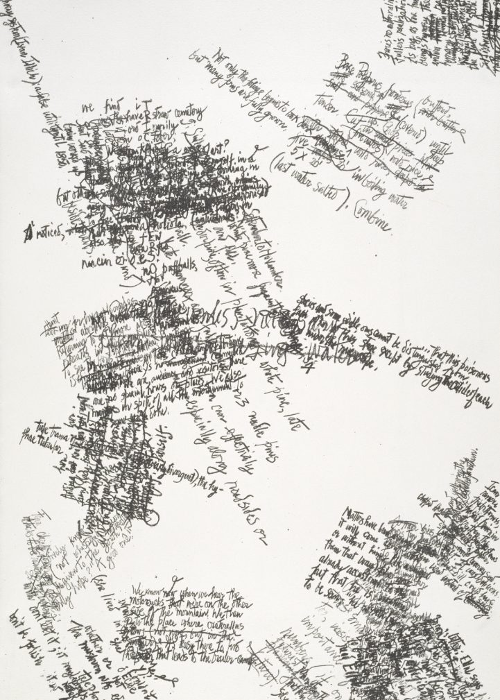 Mushroom Book Page 1 Writing – John Cage