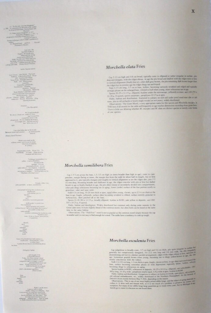 Mushroom Book Page 10 Writing – John Cage