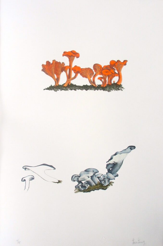 Mushroom Book Page 6 – John Cage