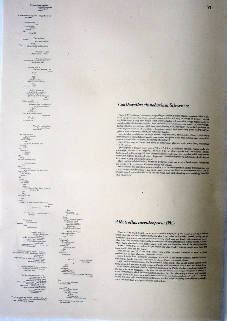 Mushroom Book Page 6 Writing – John Cage