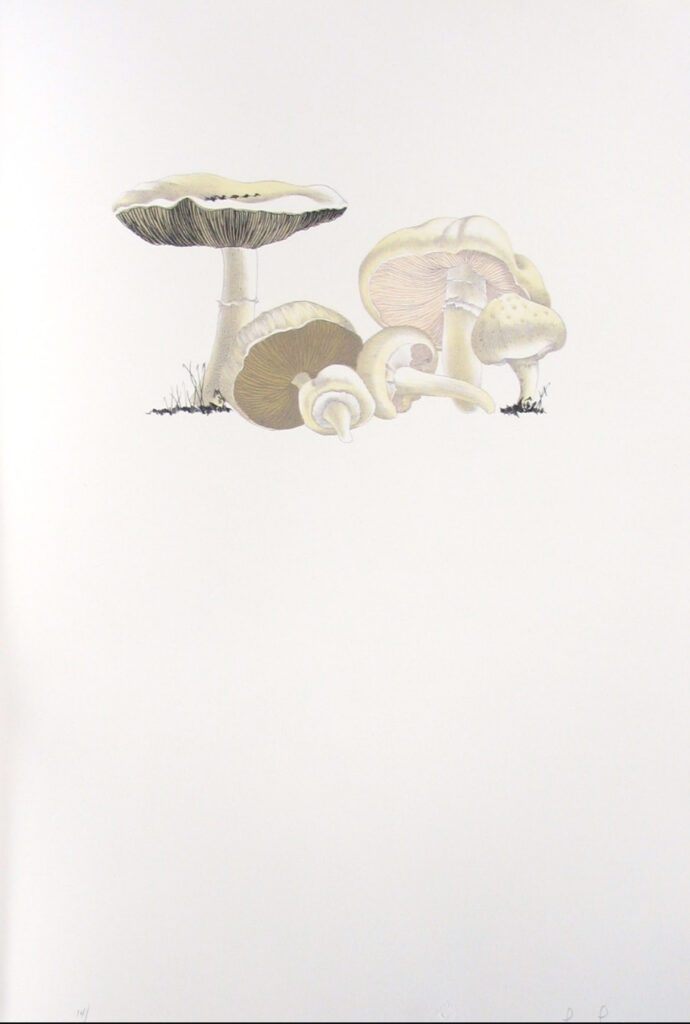 Mushroom Book Page 7 – John Cage