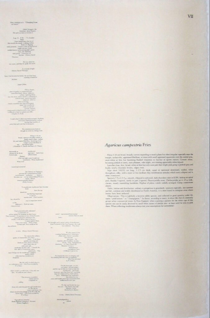 Mushroom Book Page 7 Writing – John Cage
