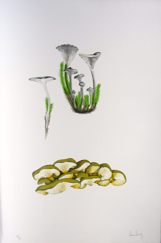 Mushroom Book Page 9 – John Cage