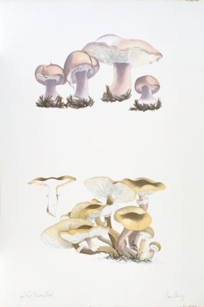 Mushroom Book Page 1 – John Cage